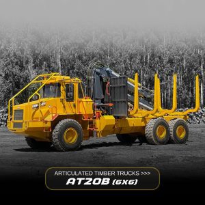 Dezzi AT20B 6x6 Timber Truck