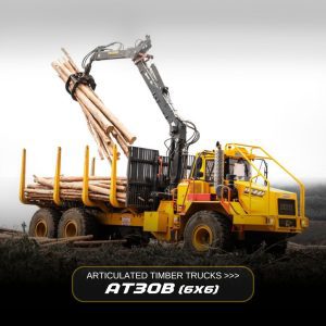 Dezzi AT30B 6x6 Timber Truck
