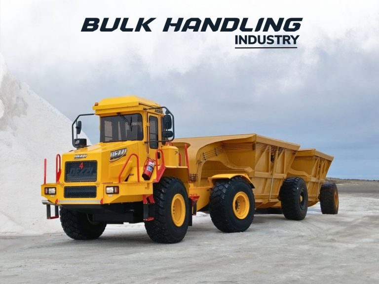 Dezzi Bulk Handling Cover Image