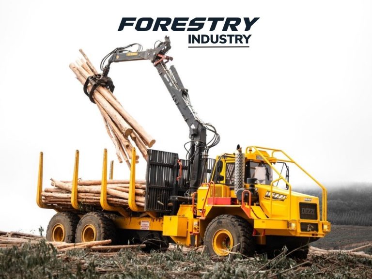 Dezzi Forestry Cover Image